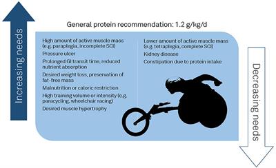 Protein Considerations for Athletes With a Spinal Cord Injury